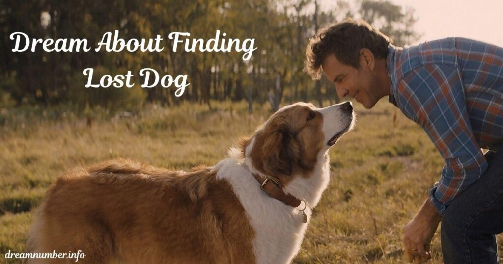 Dream About Finding Lost Dog