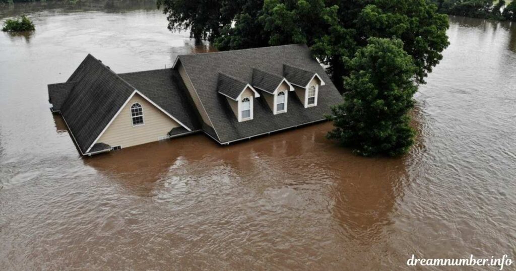 Flood Dream Meaning
