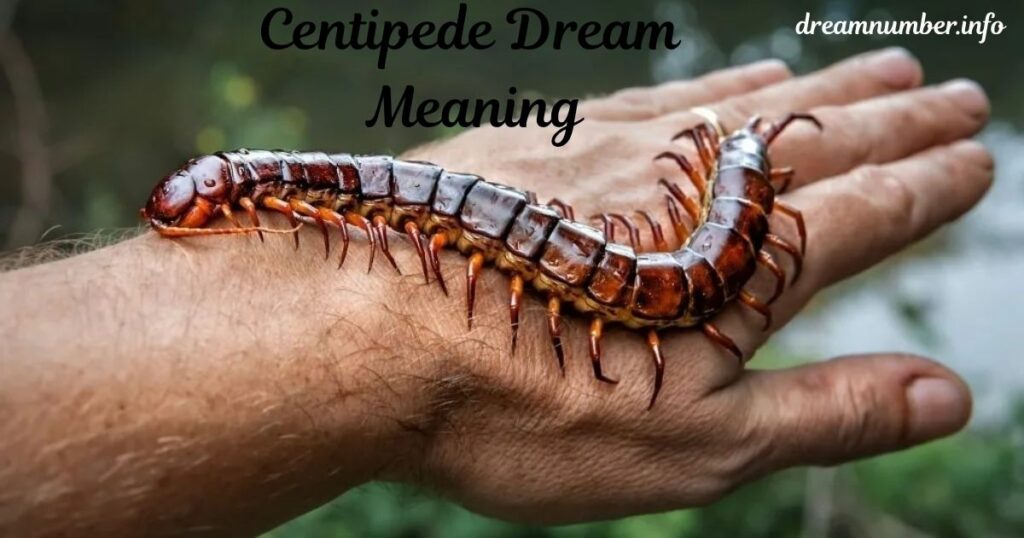 Killing Centipedes Overcoming Obstacles