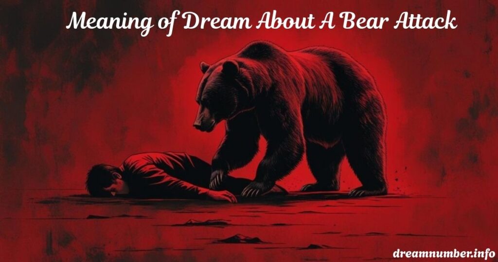 Bear Attack