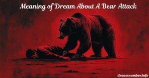 Bear Attack
