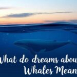 What Do Dreams About Whales Mean