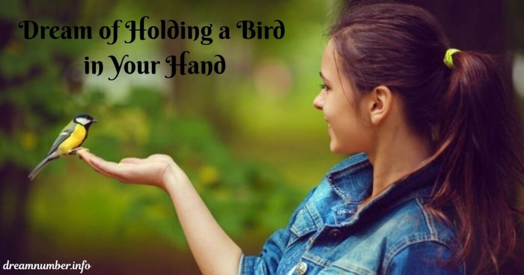Holding a Bird in Your Hand