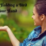 Dream of Holding a Bird in Your Hand: Meaning & Interpretation