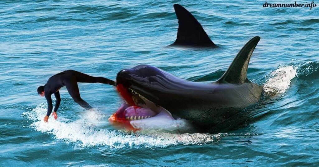 Killer Whales Attacking in Dreams